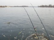 DSCN3875.jpg