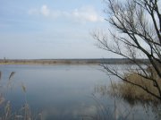 IMG_0552.jpg