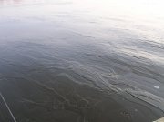 DSCN3918.JPG