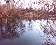 090313_100738.jpg