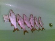20090314(001).jpg