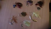 DSC01127.JPG