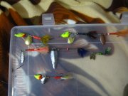 IMG_2795.jpg