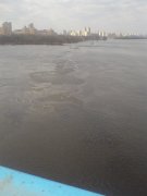 DSC00367.JPG