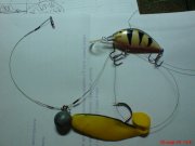 DSC04149.JPG