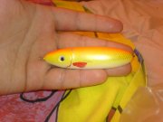 DSC00006.JPG