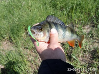 IMG_20160522_090837.jpg