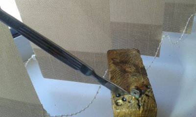 20160523_125434.jpg