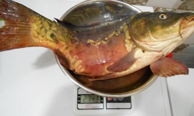 DSCN4772.jpg