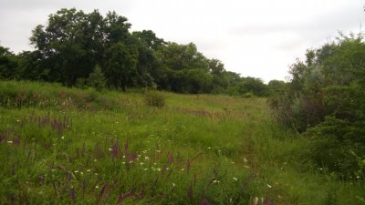 20160612_081712.jpg