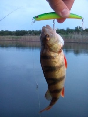 IMG_20160619_051431.jpg