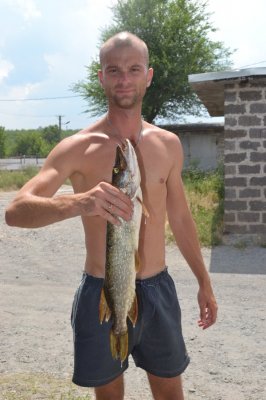 DSC_0796.JPG