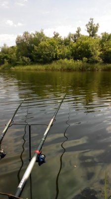 IMG_20160701_113454.jpg