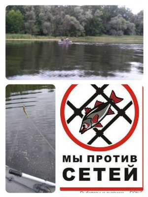 collage-1467922294437.jpg