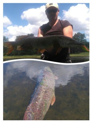 collage-1467971707824.jpg