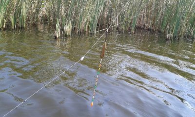 20160807_094437.jpg