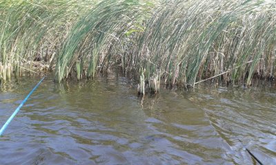 20160807_101708.jpg