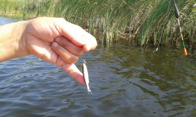 20160807_101251.jpg