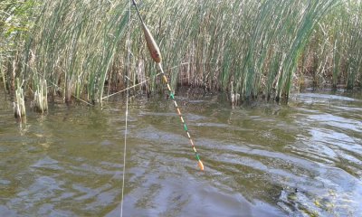 20160807_103042.jpg