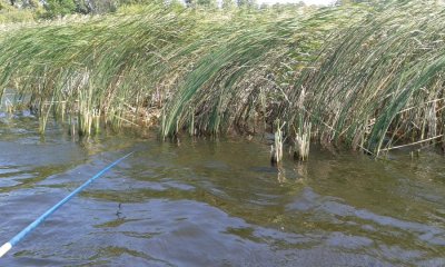 20160807_103936.jpg
