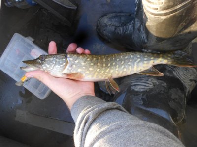 DSCN3041.JPG