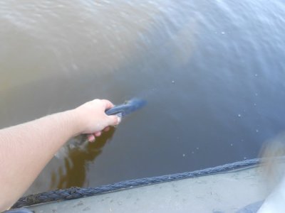 DSCN3083.JPG