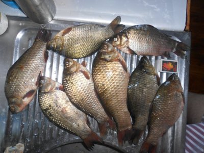 DSCN3090.JPG