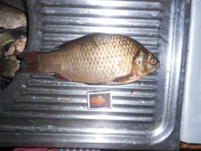 DSCN3094.JPG