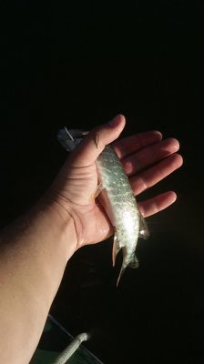 20160828_074202.jpg