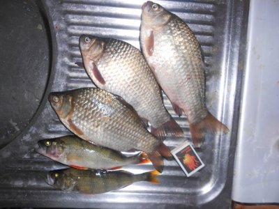 DSCN3103.JPG