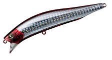 2377_9258_l.jpg