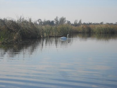 DSCN3115.JPG