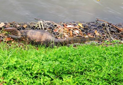 DSC_1432.JPG