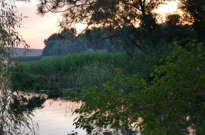 DSC_0717.JPG
