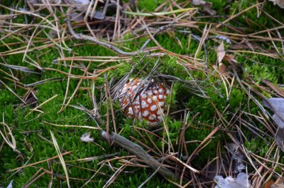 DSC_0191.JPG