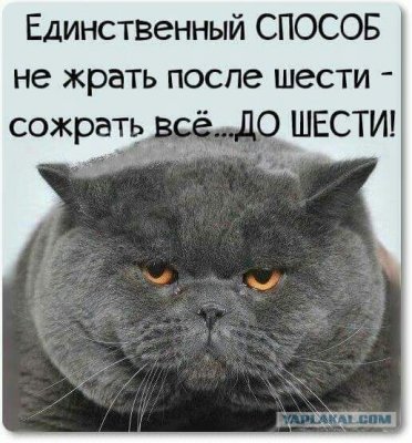 image-0-02-05-8920af294dc253c880aae697e3e09192ec6fd122eb362f33b0dce9ae05452043-V.jpg