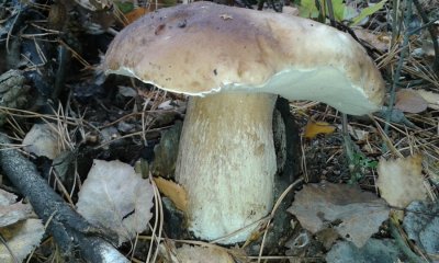 20161015_151730.jpg