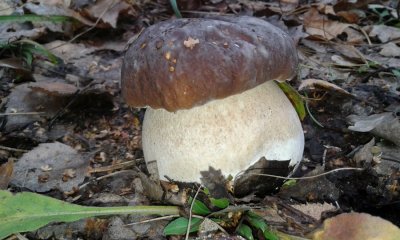 20161015_152844.jpg
