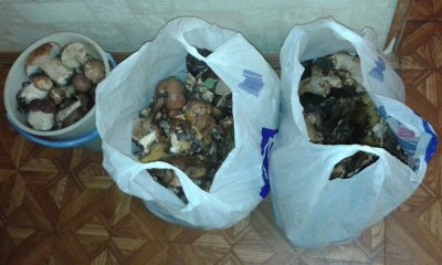 20161015_170651.jpg