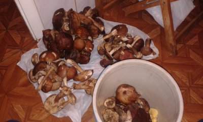 20161015_211451.jpg