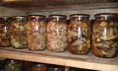 20161016_130517.jpg