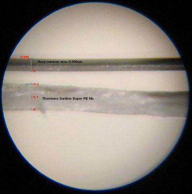 sunline_6lb_sm.jpg