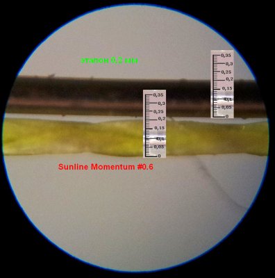 Sunline-Momentum-0156-1.jpg