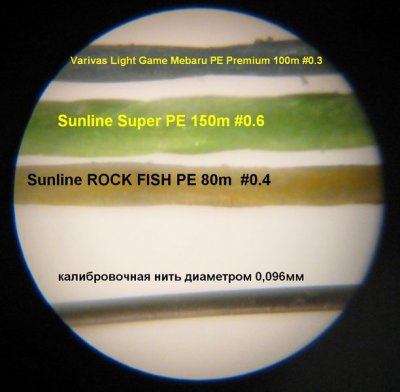 Rockfish PE.jpg