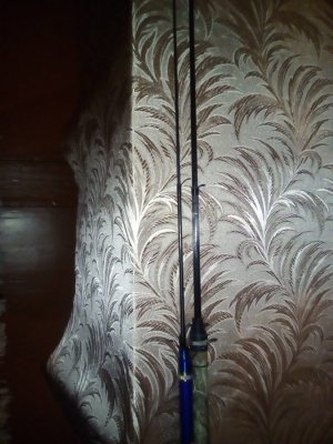 IMG_20161107_183533.jpg