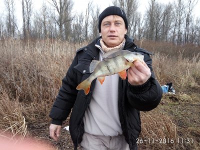 IMG_20161126_113151.jpg