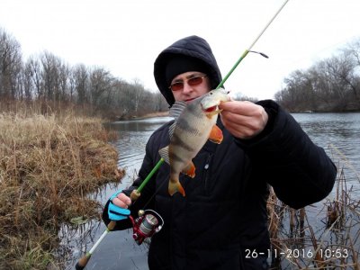 IMG_20161126_105319.jpg