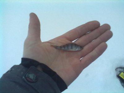 021220162474[1].jpg
