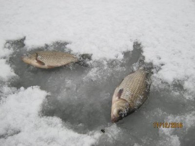 IMG_3801.JPG