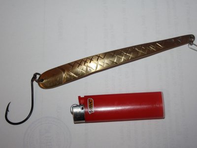 04.jpg
